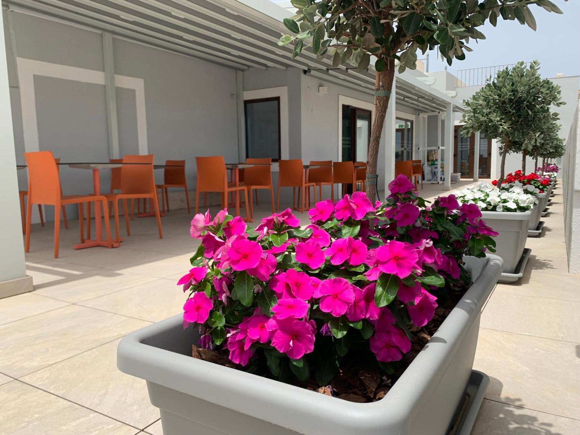 Duncan Guesthouse Marsaxlokk Extérieur photo